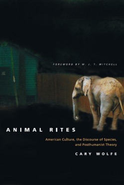 Cary Wolfe